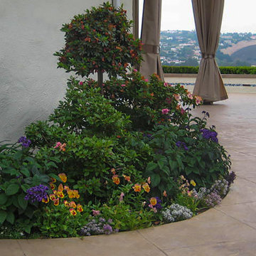 Backyard Reset | Vivid Landscaping