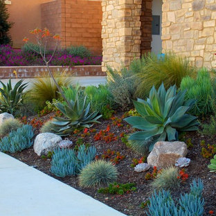 75 Most Popular Mediterranean Front Yard Garden Design Ideas for