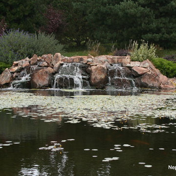 Koi Ponds and Water Gardens