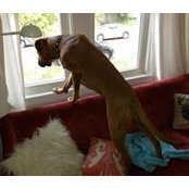 Dan Gonzalez's photo