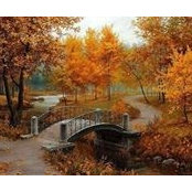 Nancy Risso's photo