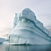 Elena nesta's photo