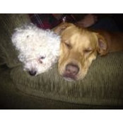 Gina Bulman's photo