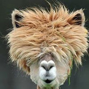Bernadette Reeder's photo