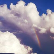 Kristi Pearson's photo