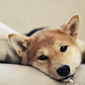 Xiaomeng Yang's photo