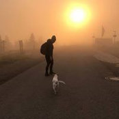 Luise Bose's photo