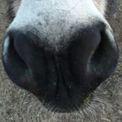 Amy Monette's photo