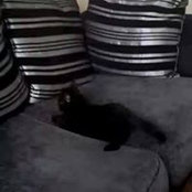 Gemma Myers's photo