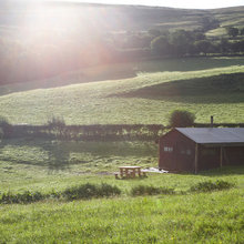 dream property