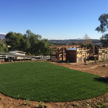 Vegetable Structure