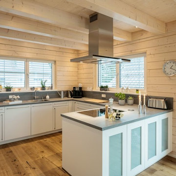 Grey Alder - beautiful contemporay eco timber house in grey