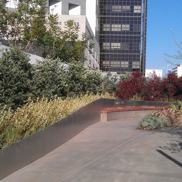Cedar-Levine Memorial Park