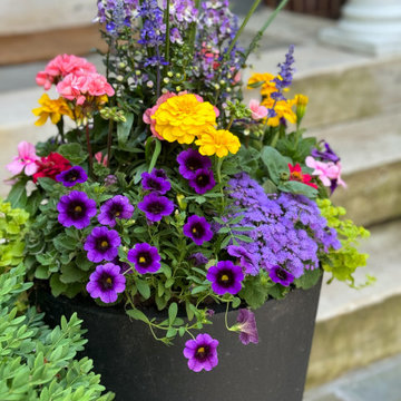 Summer Containers