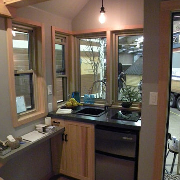 Kitchen with mini fridge and one burner induction cooktop