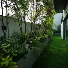Landscape Ideas