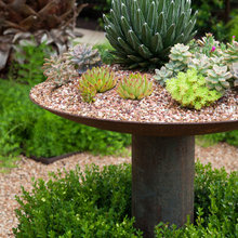 Outdoor ideas