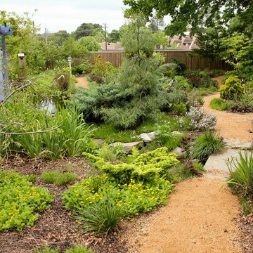 Jaliya's Memorial Garden
