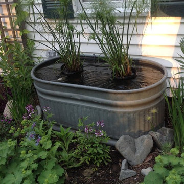 Rock & Plant Lovers Garden