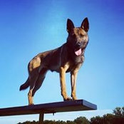 Josh Muller's photo