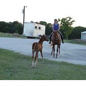 Leslie Ann Fowler's photo