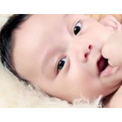 Rhey Barcelos foto