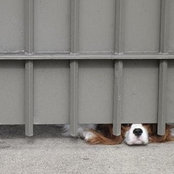 Kim Trochman's photo