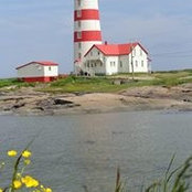 Pascale Bergeron's photo