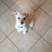 Deana Avila's photo