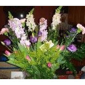 Corrine Onge's photo