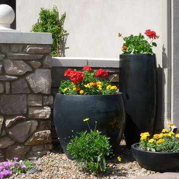Pots with Annuals