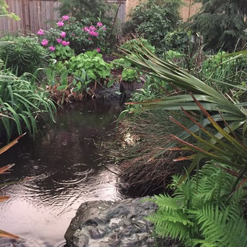 Jaliya's Memorial Garden