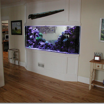 A portfolio of custom aquariums from our 17+ year history.