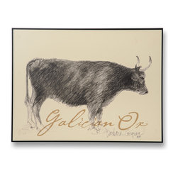 Galician Ox - Drawings And Illustrations