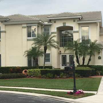 Exterior Color Consultation