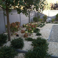 Landscape Ideas