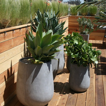 Roof deck & planter boxes/Landscaping.