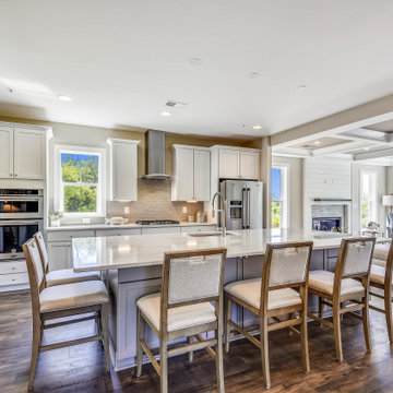 CATEGORY: Large Volume Builder Single Family Detached $800,000-$999,999