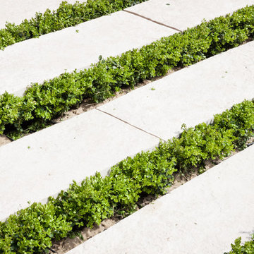 Jardin en Seine - Suresnes 2014