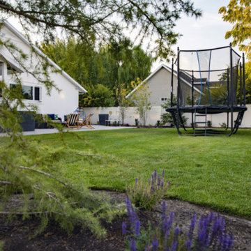 Trampoline In Backyard
