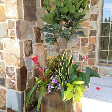 Summer Containers