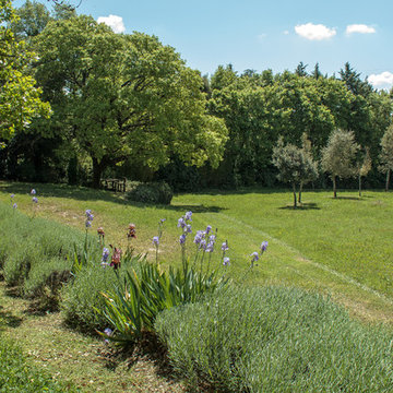 Bordura di lavande e iris