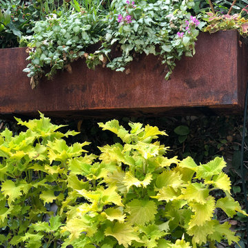 Shade Gardens