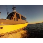 Scott Walcott's photo