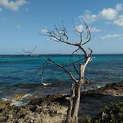 Arno Tracuof's photo