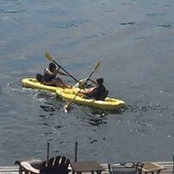 Carol Rogalski's photo