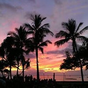 Kristie Reed's photo