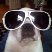 Austin Briggs's photo