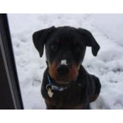 Fred Moore's photo