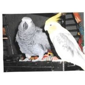 Sharon Stern's photo